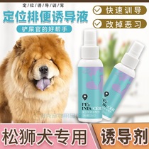 Pine Lion Dog Special positioning bowels defecation Pet Pet Pull Poop Pinpoint Dog Inducers TOILET FLUID DIURETIC
