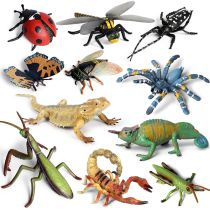 Childrens simulation insect toy animal model Bee Spider Dragonfly lizard scorpion grasshopper Ant mantis ornaments