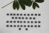 Size buckle for pants bar clothing size label West trouser rack pants size circle number number number sub-size u-shaped