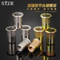 Iron stainless steel pull rivet nut rivet rivet gun pull cap flat head knurled column rivet nut rivet nut tool tool