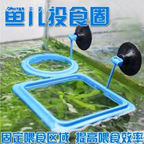 Fish food feeding ring fish tank feeding feeding ring fish large large fish feeder ring floating material fixed feeding fish~