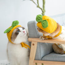 Cat headgear cute pet hat cat birthday headdress cat jewelry kitten funny dress photo props