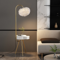 Nordic light luxury feather cover drawer coffee table floor lamp living room study bedroom bedside set one vertical table lamp
