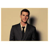 Liam Hemsworth LiamHemsworth poster vintage hanging painting a2b37a12