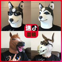 Panda Headgear Funny Animal Headgear Single Dog Mask Horse Head Sand Sculpture Shake to blame for the burst performance props
