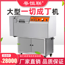 Large-scale fully automatic commercial all dicing machine cut meat cooked meat Ding workshop supervisor hand cloth wood components