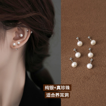 999 sterling silver natural pearl earrings female screw buckle ear hole ear bone nails small earrings anti-drop high-end earrings