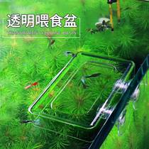 Fish tank acrylic feeding circle fish food suspension anti-floating goldfish turtle feed feeding fish artifact floating force