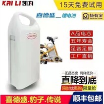 Kaili Power Hedesheng Lithium Battery 48v10AH Electric Vehicle Leopard 2C3C4C5C Legend 1S2S5S Battery