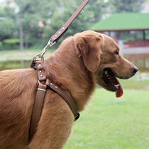 Pooch Rope Traction Rope Gold Wool Chest Harness Rope Haschic Neckline Dog Chains Large Canine Leather Vest Style