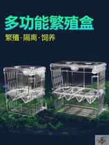 Fish tank isolation box medium tank guppy fish breeding artifact small fish separator net raw fish raw fish