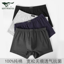 Seven wolves aged underpants mens pure cotton loose breathable antibacterial mens four corners pants without marks full cotton great uncles pants head