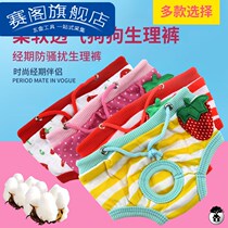 Dog clothes pet raw pants Teddy VIP menstrual underwear small dog physiological underwear dog pants