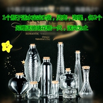 2 Wishing Bottles to Send Vases DIY Star Rainbow Bottles to Send Materials Nebula Cork Glass Bottles Drifting Bottles