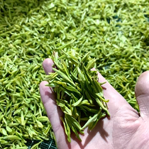 Anji White Tea 2021 Mingchen White Leaf Green Tea Small Jar 50g Gift Tea Origin Origin Alpine Spring Tea New