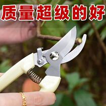 Picking fruit artifact garden art scissors pruning shears tree branches cutting flowers branches picking persimmons pruning shears tree branch shears