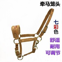 Leading horse bridle new product color horse tuning cage head size pony horse dragon head chew equestrian supplies