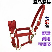 Leading horse bridle new product color horse tuning cage head size pony horse dragon head chew equestrian supplies