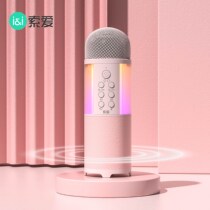 MC12 microphone microphone audio integrated wireless home singing children suitable for singing bar National K song artifact TV karaoke professional universal Bluetooth mobile phone equipment Family set