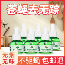 Eliminate powerful kitchen eliminate small flies mosquito artifact medicine commercial antidote bait anti mosquito fly King