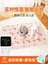 Pet Electric Blanket Cat With Thermostatic Small Kitty Heating Pad Special Dogs Winter Warm Pets Heating Cushion