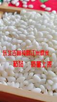 5kg 20 autumn harvest northeast soil black land round River Rice glutinous rice dumplings wine sticky sticky rice Delicious Delicious