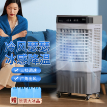 Home Air Conditioning Fan Industrial Freezer Small moving cold blower with water Dormitory Hotel Silent Cold Air Fan large