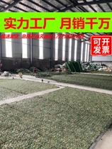 Green net camouflage net anti-counterfeiting net decorative net sunshade net anti-aerial photography decorative roof Mountain cover net