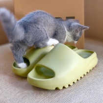 Coconut slippers tread with a sense of summer word drag and outside wearing 2022 new web red ins Chauded Putian mens shoes