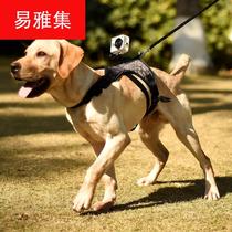 Dog sports camera strap gopro stabilizer pet dog chest strap sports camera fixed shoulder strap