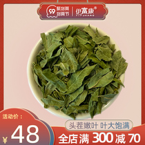 Apocynum Venetum 250 grams of apocynum leaf Xinjiang large leaf apocynum tea Chinese herbal medicine flower tea health tablets non-wild
