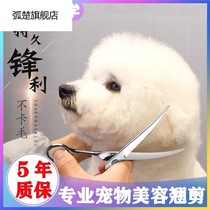 Pet Beauty Scissors Dog Hair for a small pooch haircut yourself cutting a fur bigot teddy trimming suit