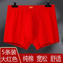 3 5 red underwear mens year cotton 95% mens boxer boys shorts Fashion plus size pants high grade pants tide