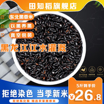Heilongjiang 2021 New Northeast Black Fragrant Rice Grain Black Rice Porridge Farmers Self-Produced Low Sugar 5 Jin No Dyeing