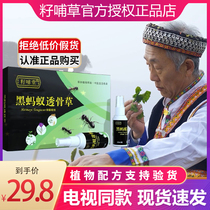 Flagship store seed mammal black ant skeleton plaster TV with neck shoulder and knee joint stress official