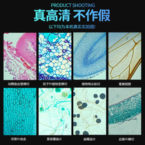 Optical electron microscope professional biology 10000 times home childrens science experiment mobile phone see microbial primary school students kindergarten high definition 2000 times mite bacteria birthday gift set