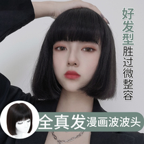Wig female short hair Real hair comic bobble head natural one-size-fits-all full head cover net red lisa with the same