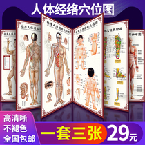 Human body meridian acupoint map Full body HD large wall chart Chinese medicine health acupuncture massage poster Children massage home