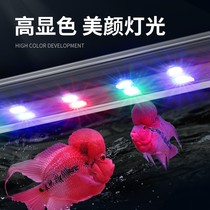 Fish cylinder lamp lighting led waterproof three-color aquarium small ornamental fish dragon fish lamp