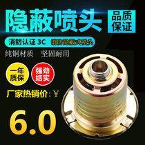 Fire sprinkler fire hidden hidden sprinkler hidden sprinkler hidden sprinkler hidden sprinkler hidden sprinkler cover plate