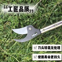 Scissors Branches Trim Garden High Altitude Cut High Branches Scissors Flex High Branch Cut High Altitude Picker off loquat Loquat Deity