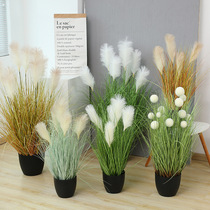 Simulation Reed Grass Room Intranet Red Living Room Mall Building View Simulation Plant Potted Plant False Plant Floor Pendulum decoration