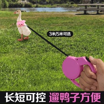 Small Ducks Traction Rope Slip Pet Goose Rope Cole Duck Walking Rope Small Chicken Out of Divinity Automatic Flex Rope