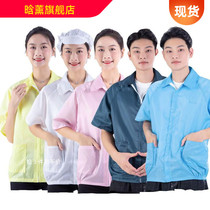 Anti-static coat blouse split short sleeve static clothes workwear male streaks large-coat dust-proof clothes clean and dust-free