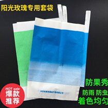 Sunshine rose Special grape bag green paper bag rainproof three green grape bag green blue grape bag