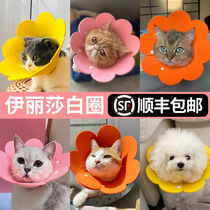 Cat Elizabeth ring Collar headgear Anti-licking neck ring Cat headgear Neck ring Sterilization supplies Pet shame ring