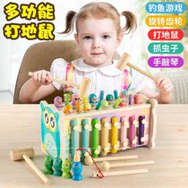 Fishing hamster childrens toys over 6 years old educational toys smashing mouse large two-in-one electric early education Male