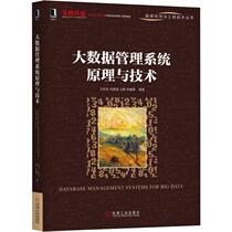  Principle and Technology of Big Data Management system