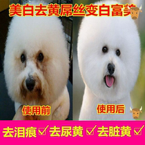 Dog hair dye cream permanent white than Bear Dog white hair yellow bleach dog hair dye hair pet cat