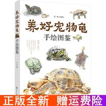 Genuine book to raise pet turtle hand-painted picture book Hu Hai Chemical Industry Press new book